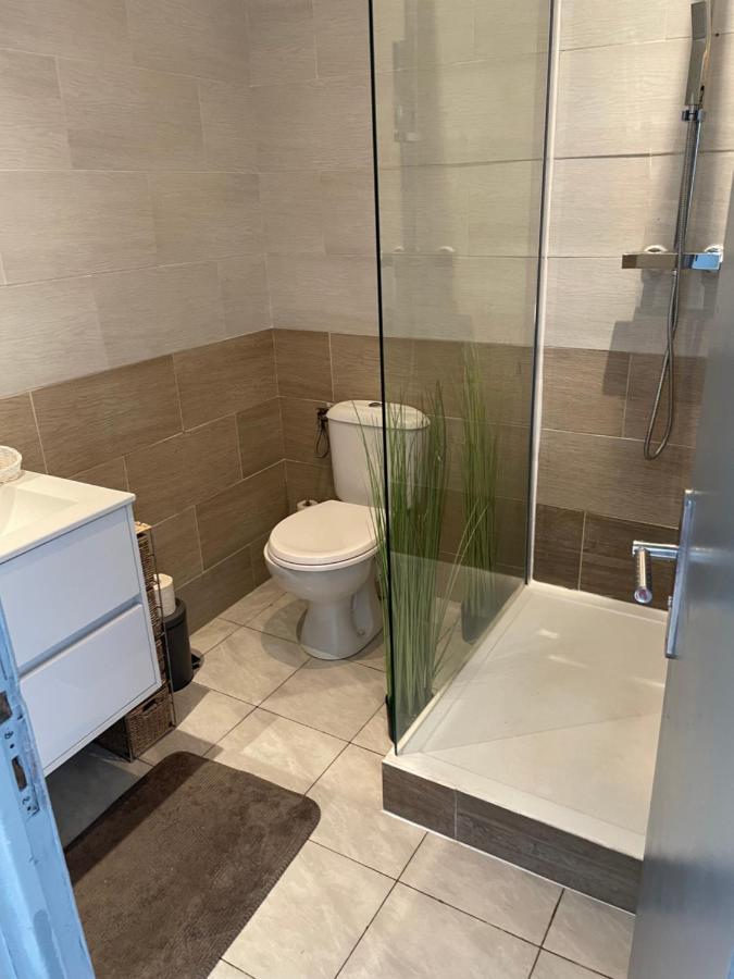 Centre Carcassonne Apartment With Private Sunny Terrace Ngoại thất bức ảnh